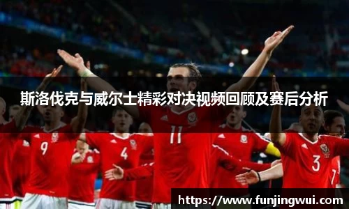 斯洛伐克与威尔士精彩对决视频回顾及赛后分析