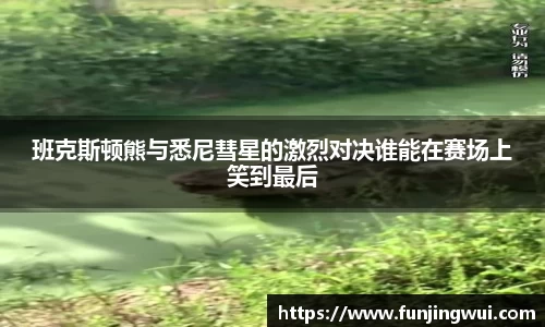 AC米兰体育官网入口