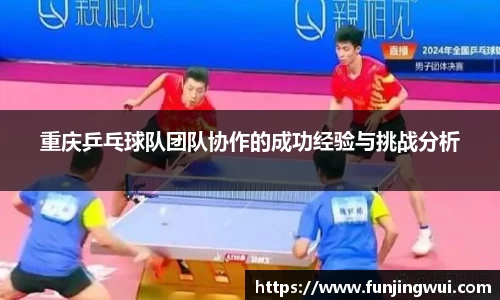 重庆乒乓球队团队协作的成功经验与挑战分析
