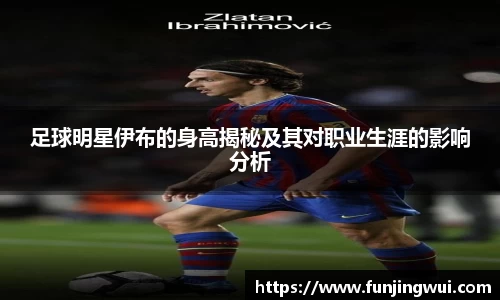 AC米兰体育官网入口