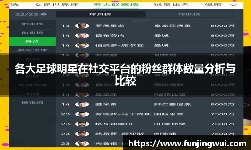 各大足球明星在社交平台的粉丝群体数量分析与比较