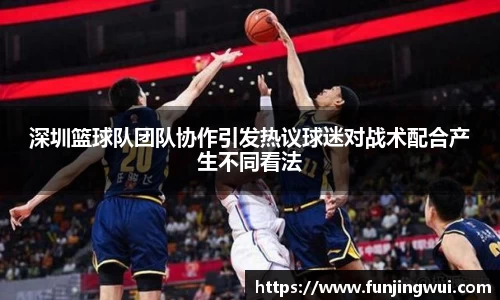 深圳篮球队团队协作引发热议球迷对战术配合产生不同看法